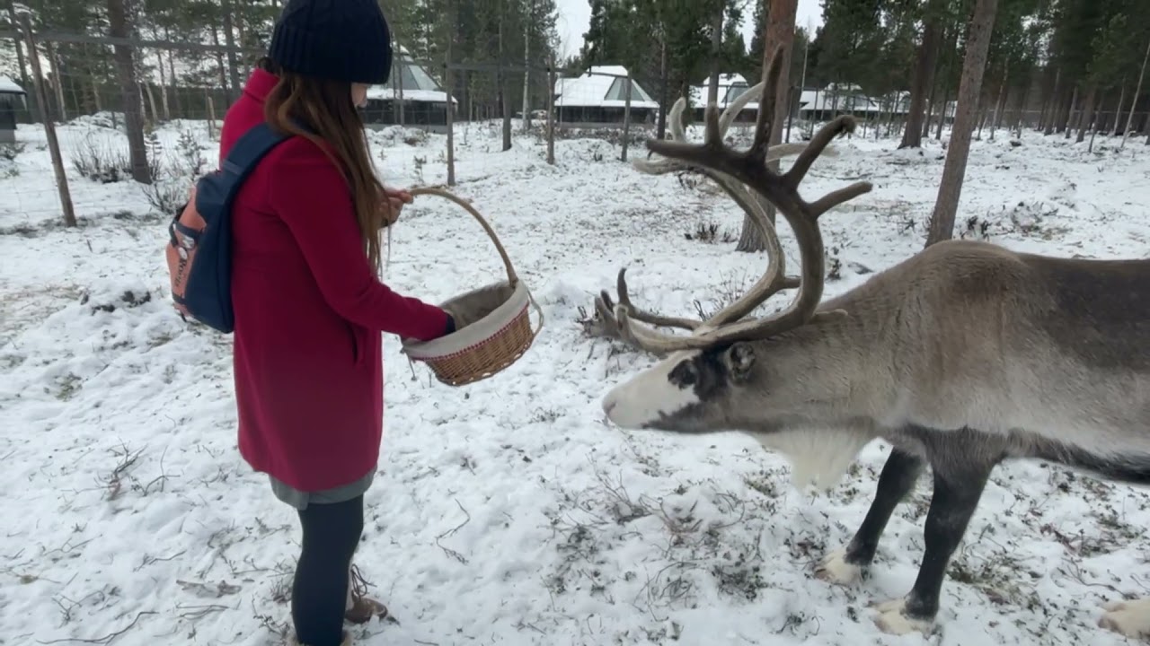 フィンランド旅のまとめ動画　オーロラハンティング　ラップランド　ヘルシンキ