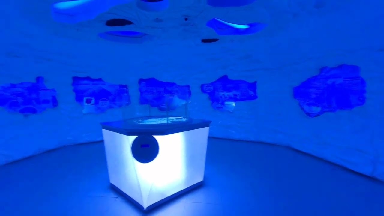 Aquarium Visit At Florya Mall #Esenyurt #istanbul #turkiye