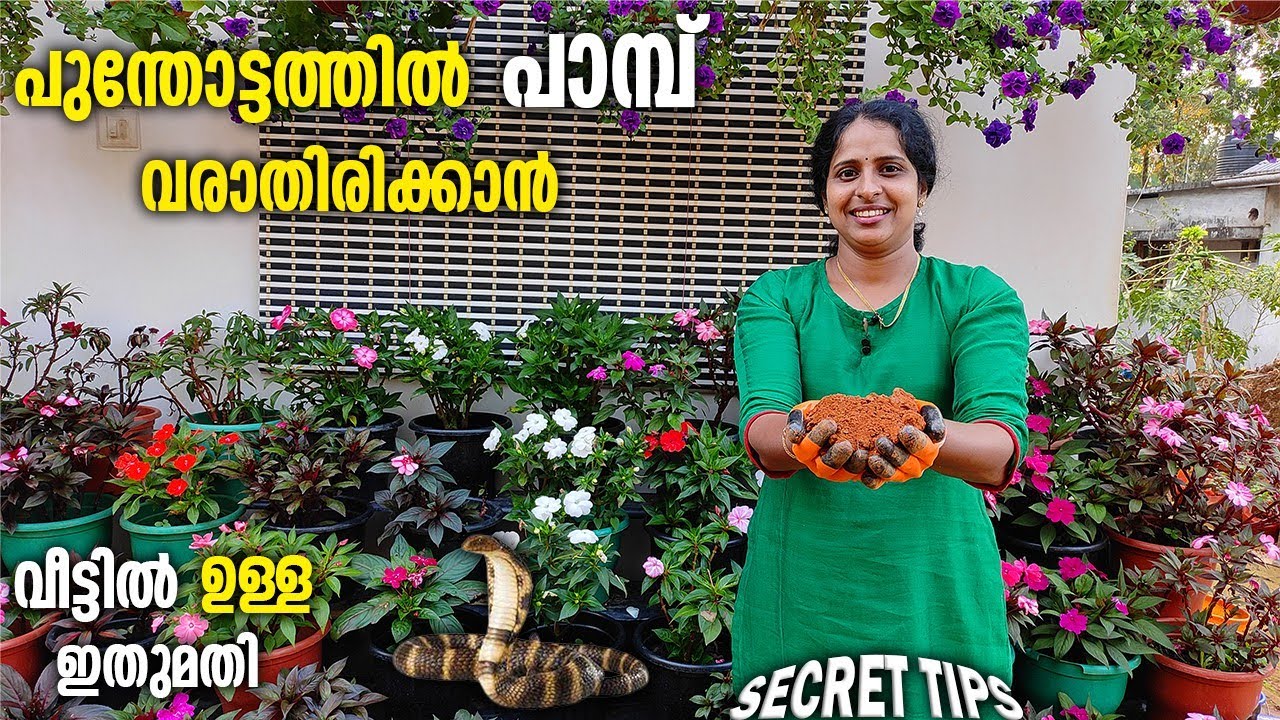 പാമ്പിനെ പുന്തോട്ടത്തിൽ നിന്നും ഓടിക്കാം |how to remove snakes on garden