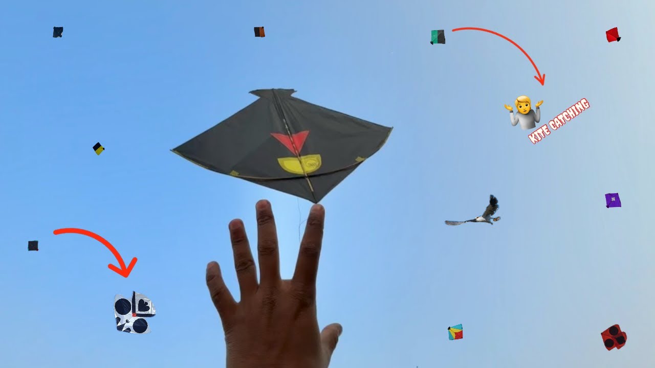 Kite Looting on the Roof | Kite Catching & KITE / Caught Flying Kites on the Roof 🪁#kitelooting 