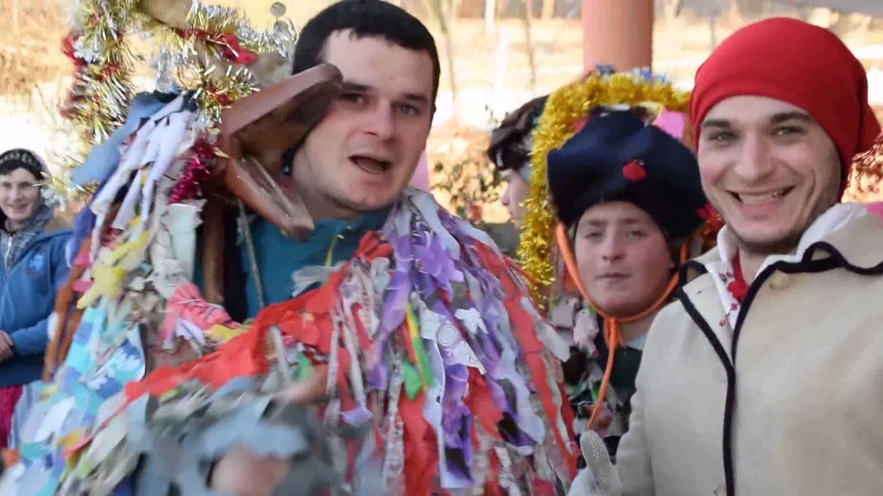 Capra de la Lipova - 1 ianuarie 2017