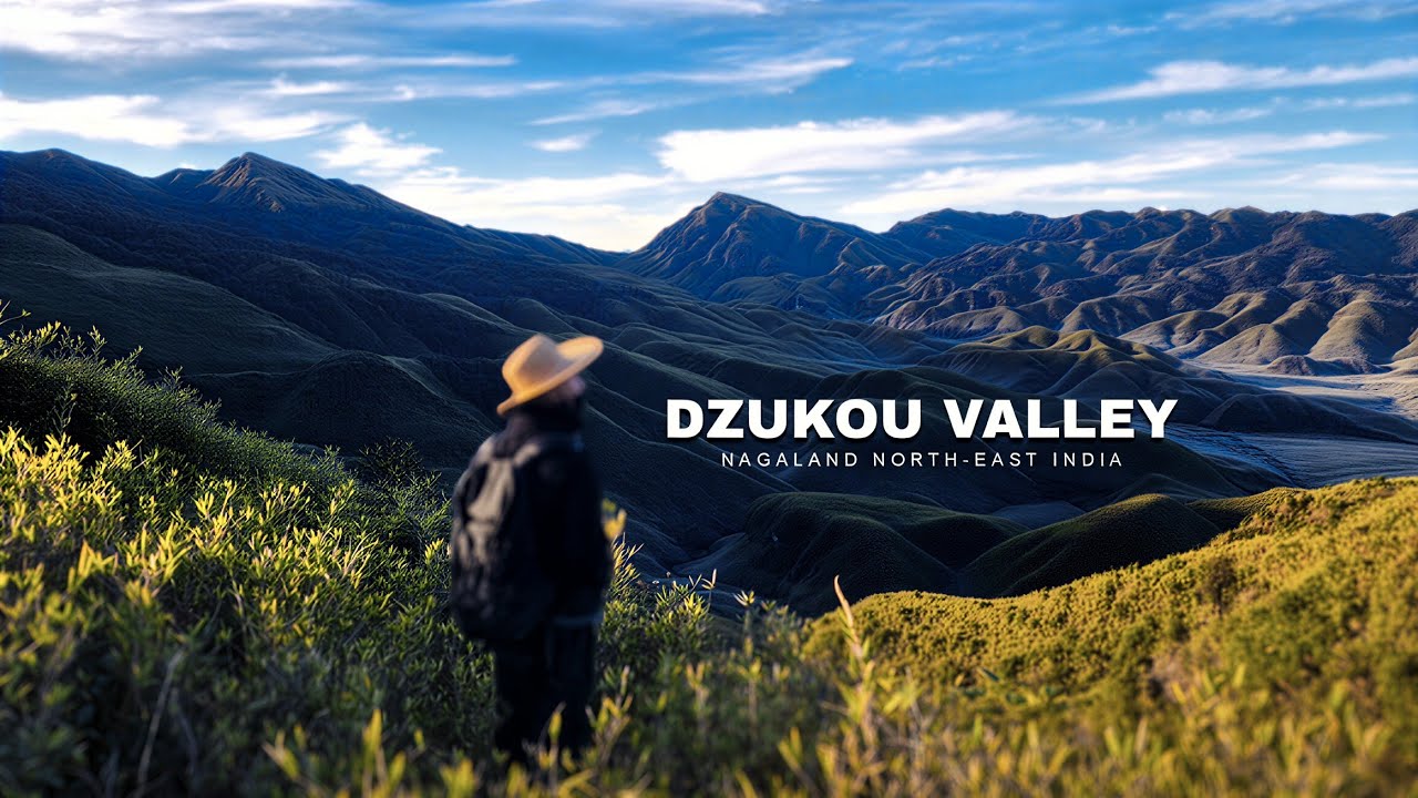 Most beautiful valleys trek in India🇮🇳 | Dzukou valley | NAGALAND | NORTH-EAST INDIA
