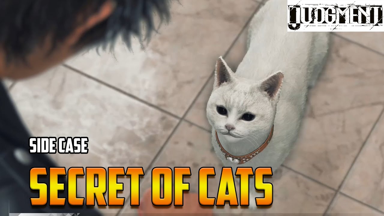 Judgment: Side Case: Secret of Cats