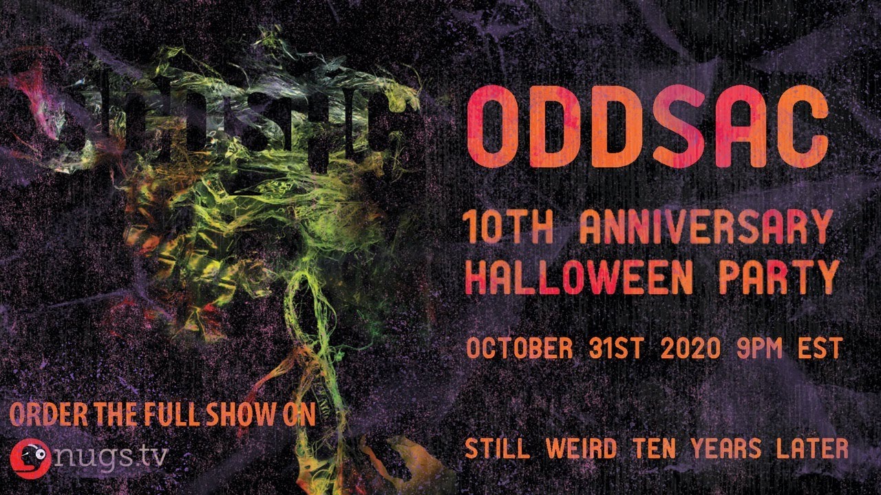 Animal Collective LIVE Celebrating 10 years of ODDSAC First Song Preview