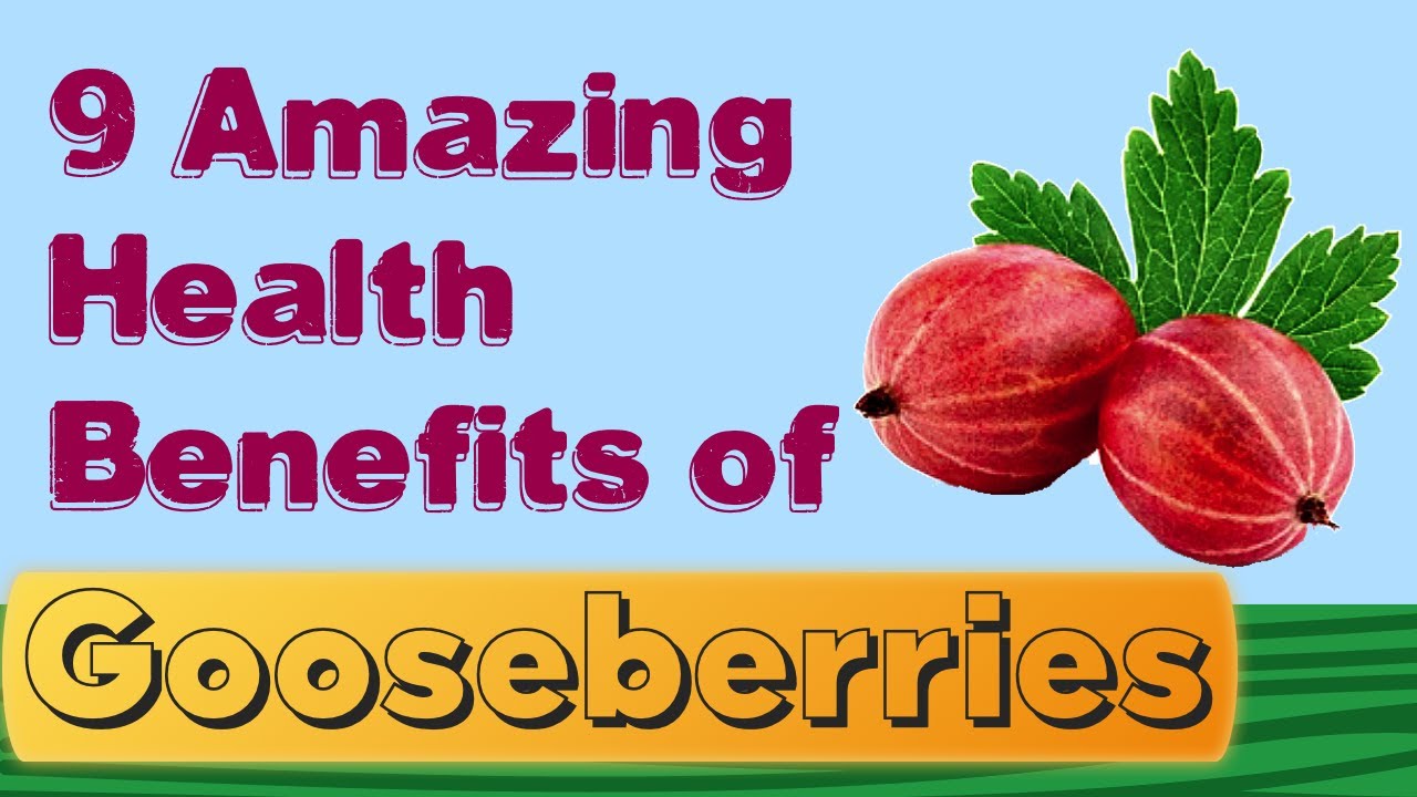 9 amazing health benefits of GOOSEBERRIES