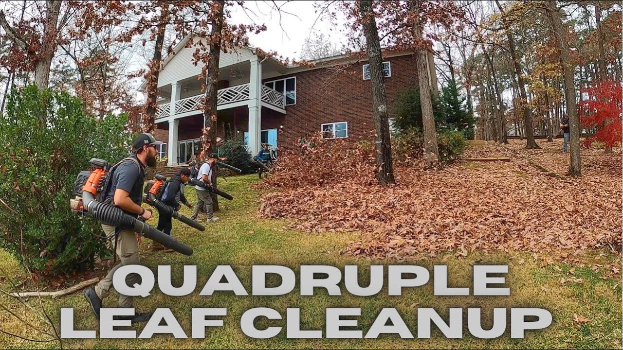 This was LUDICROUS 4 yards at the SAME time. MASSIVE leaf cleanup. TRULY INSANE 10 guys 2 hours