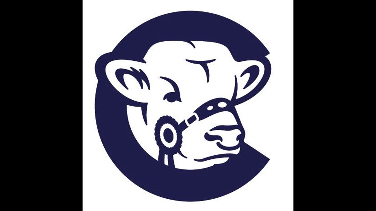 Charolais Sale at Stirling Bull Sales on Monday 21st October '24