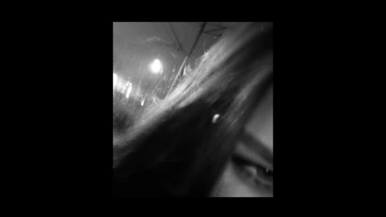 gravitational forces &mdash; 🦇