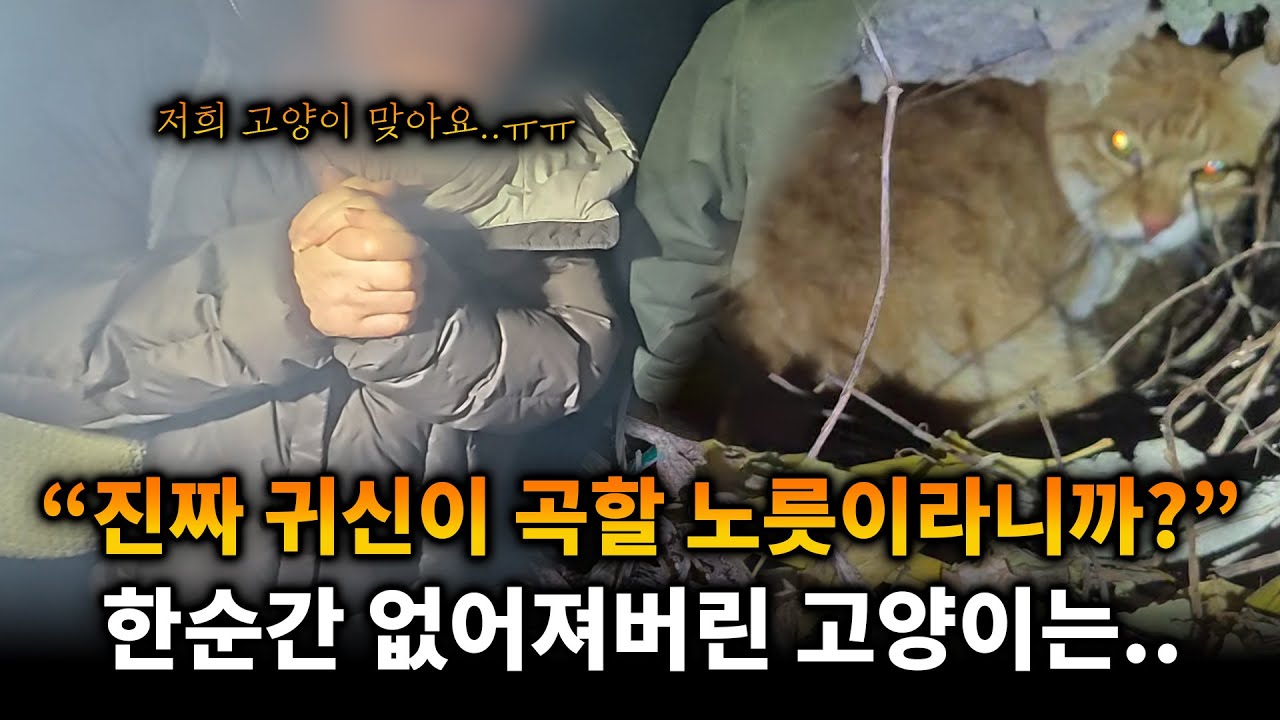 귀신이 곡할 노릇이라는 아빠