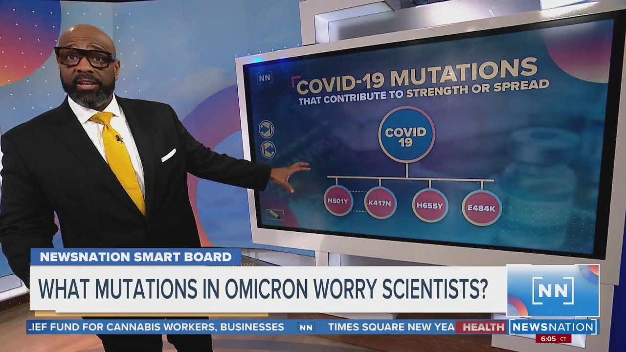 What mutations in omicron worry scientists? | Morning in America