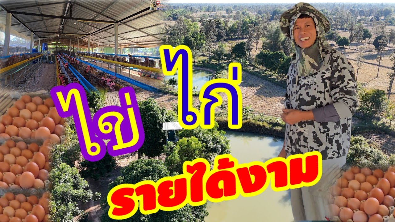เดิมผืนนาที่เคยแห้งแล้งสู่ฟาร์ม​ไก่ไข่​ เกษตรผสมผสานสร้างรายได้รายวัน