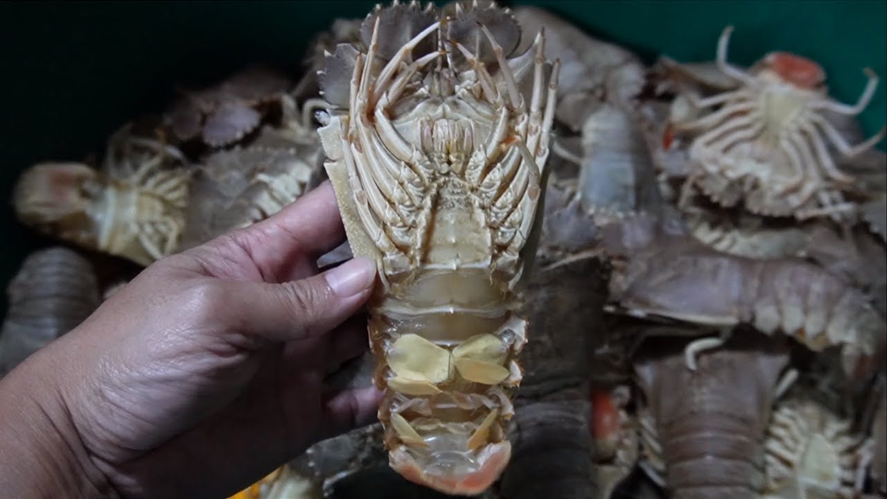 Thai Food - GIANT ALIEN Lobster cook alive with spicy chili