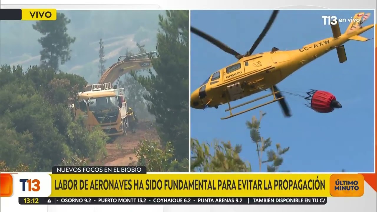Nuevos focos de incendio se activan en el Biobío
