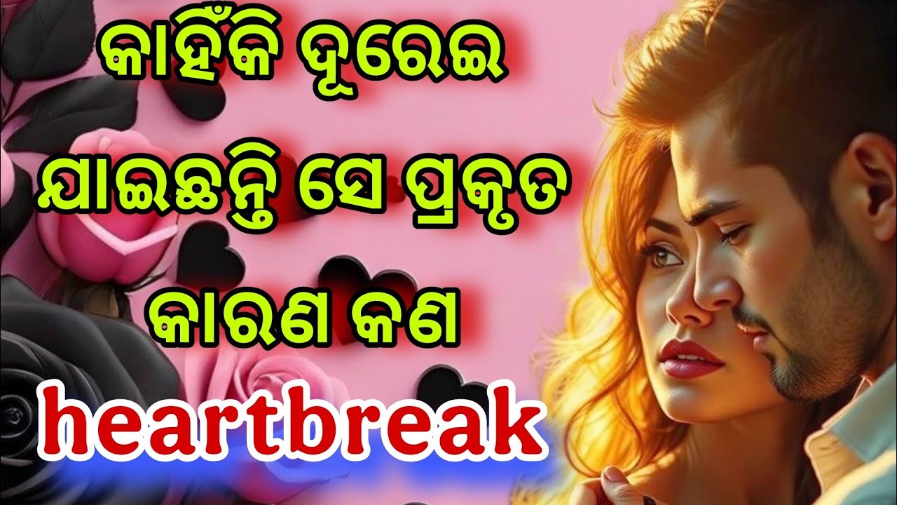 ତାଙ୍କ ମନ କଥା💕odia current feelings tarot card reading ❤️ odia current feeling