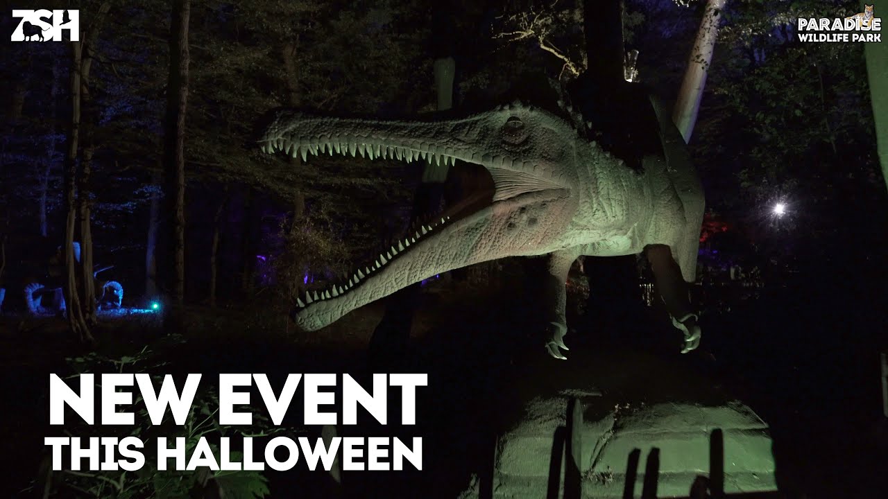 Dinos After Dark! - Paradise Wildlife Park