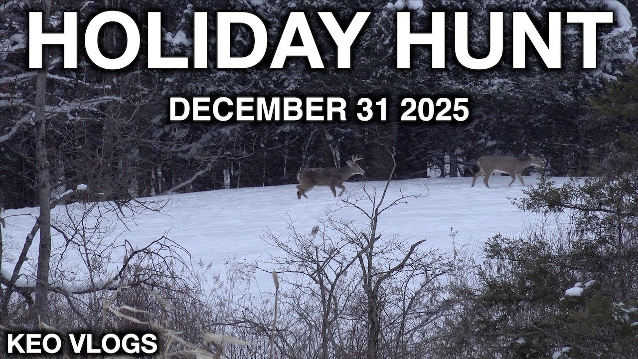 Holiday Hunt Over The Foodplots