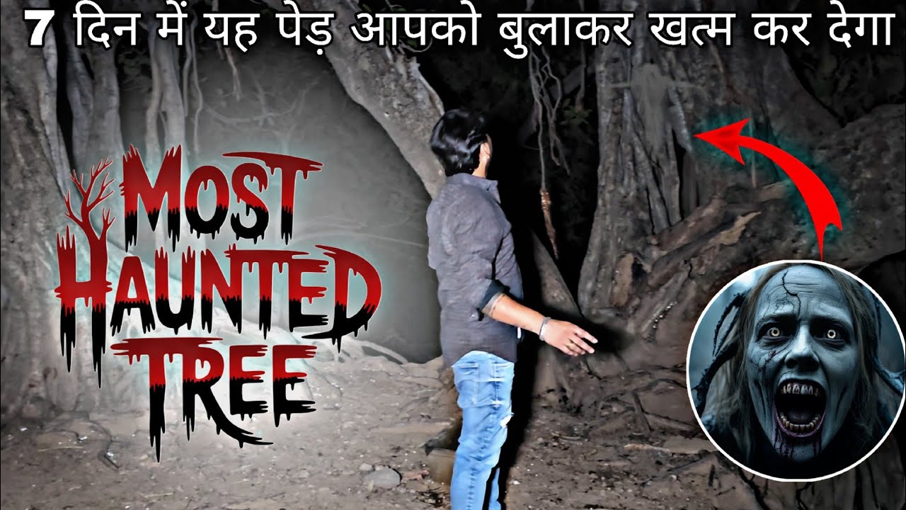 The scariest tree of Morni Hills | Haunted Tree | Real Ghost Activity Caught on Camera RkR History