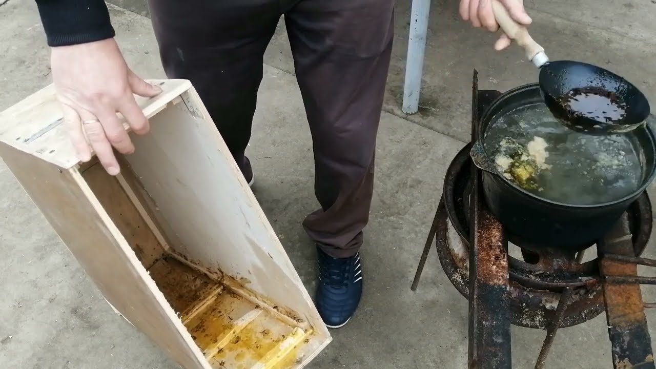 Где взять приманку для обработки ловушки и Как обработать ловушку перед установкой.