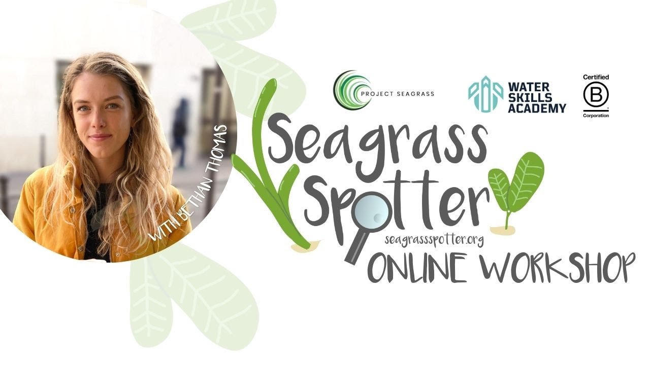SeagrassSpotter Online Workshop