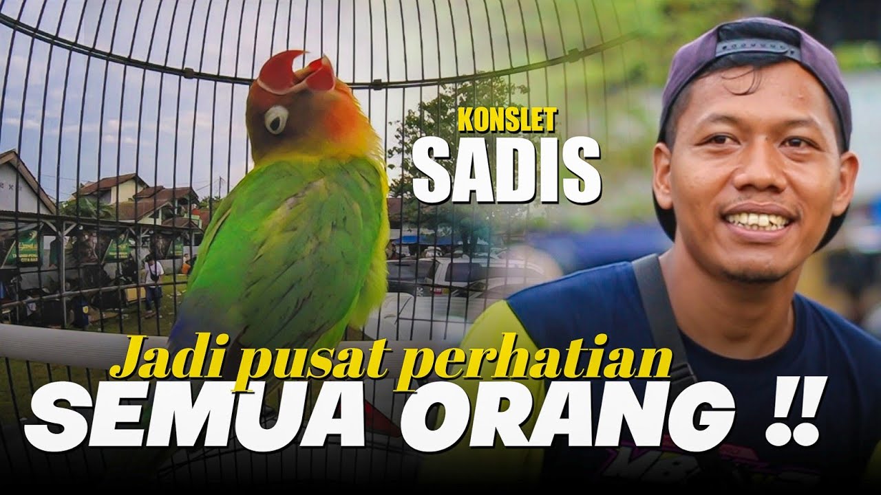 KONSLET SADIS !! JADI PUSAT PERHATIAN - KOPDAR KONSLET BOGOR - LB BADRUN