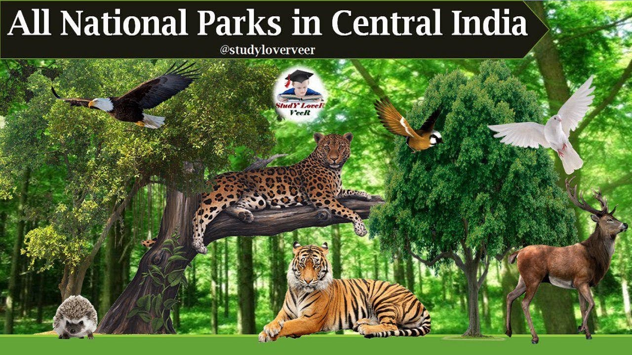 All National Parks in Central India - Static General Knowledge - Current Affairs 2018 in Hindi -VeeR