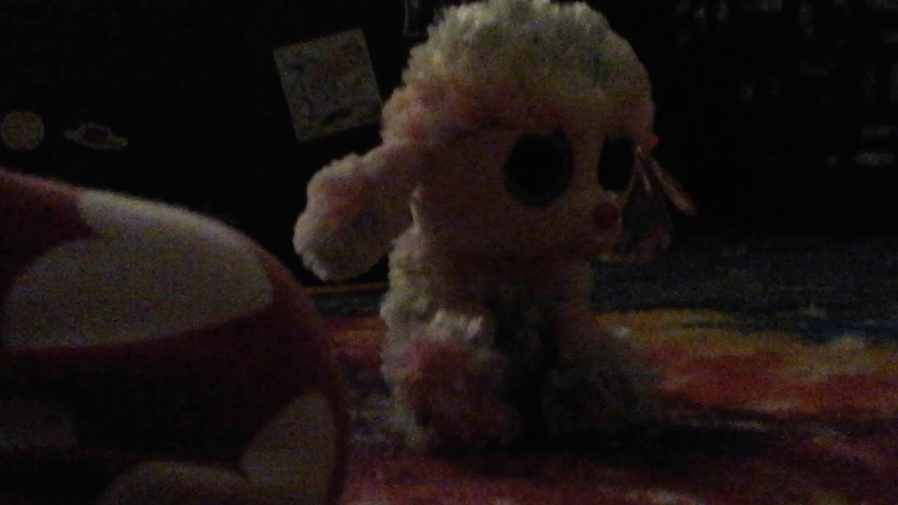 Beanie  boo  funny  video