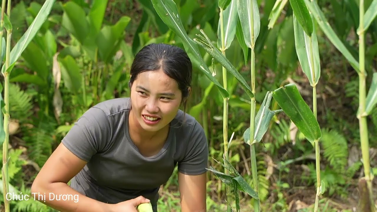 Harvesting Corn and Selling at the Market – Making Crispy Fried Corn Snacks for My Kids