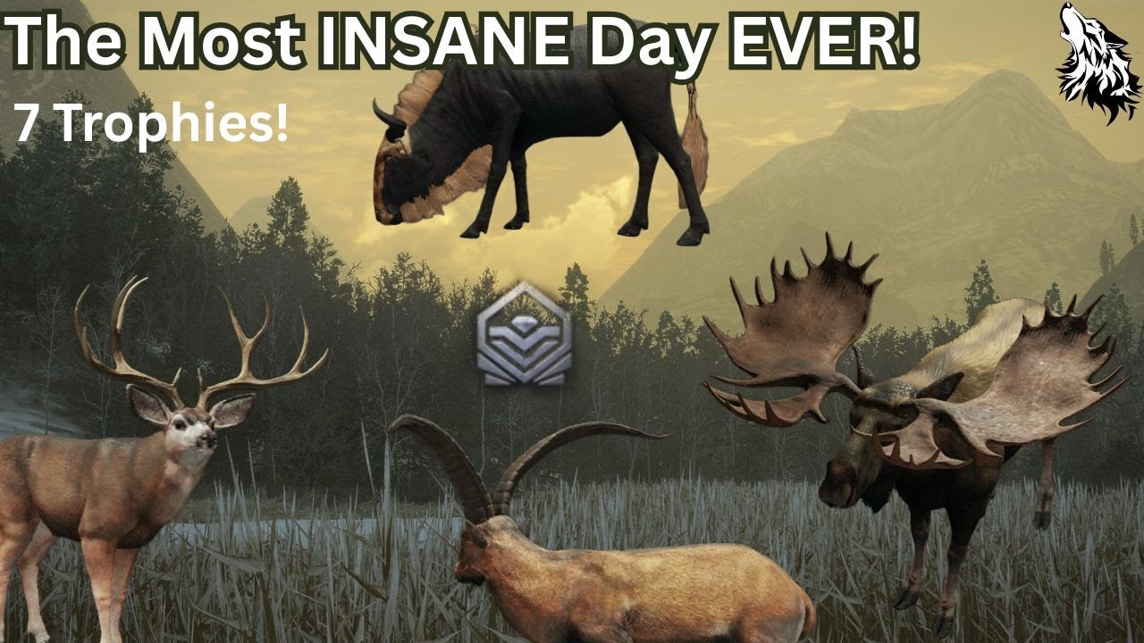 The CRAZIEST COTW Luck EVER!
