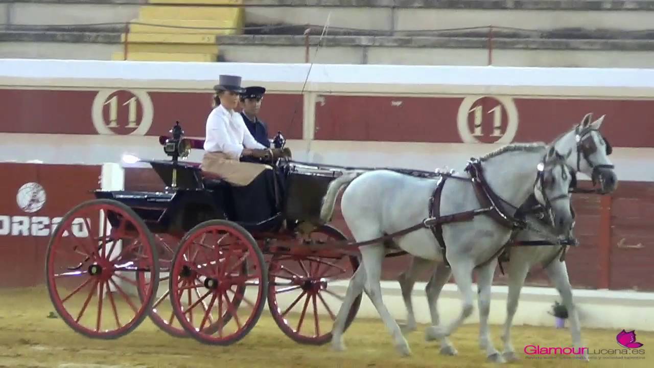 EXHIBICIÓN ECUESTRE LOS CABALES FDV16 Enganche de caballos
