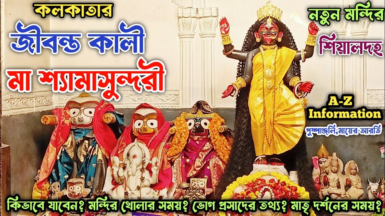 Shyam Sundari Kali Mandir Sealdah ।শ্যামসুন্দরী মায়ের মন্দির । New Maa Shyamsundari Temple ।