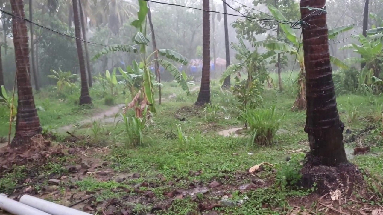 Beautiful summer Rain in Kerala||First heavy rain of the year pours in the scenic village