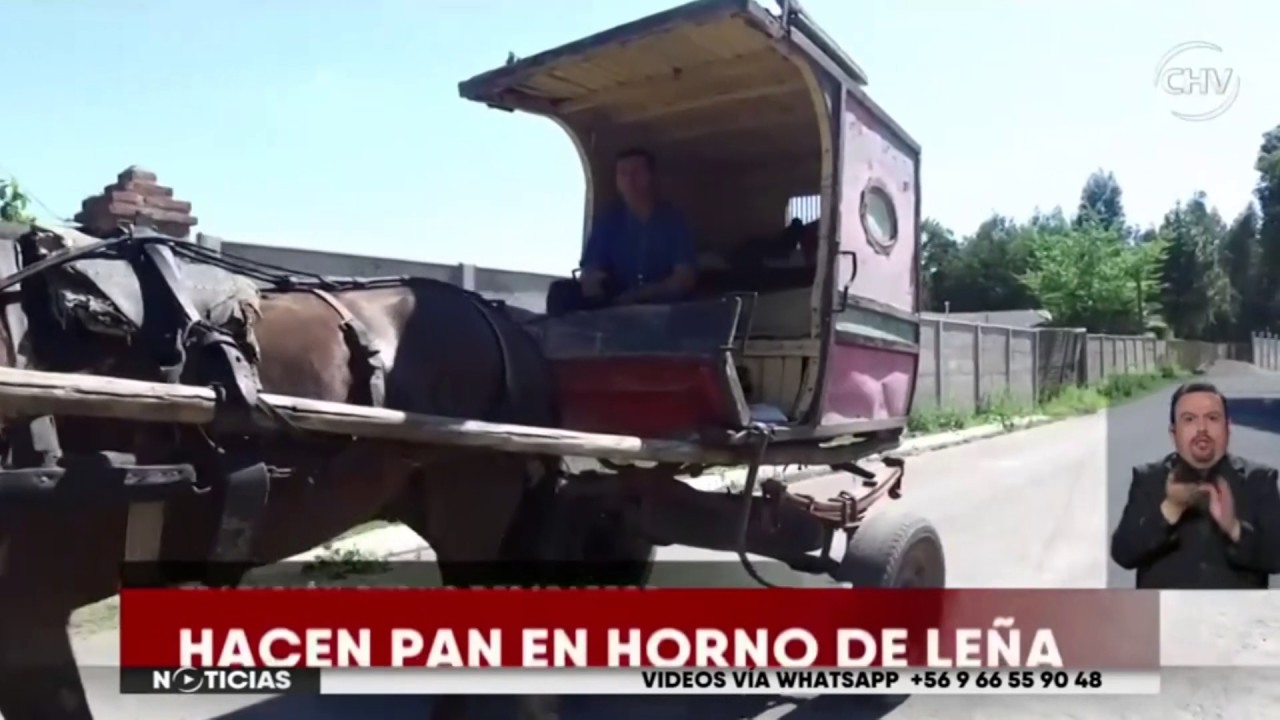 Panadería Espiga de Oro Rengo y Rey de la Ojota Chilevisión Noticias