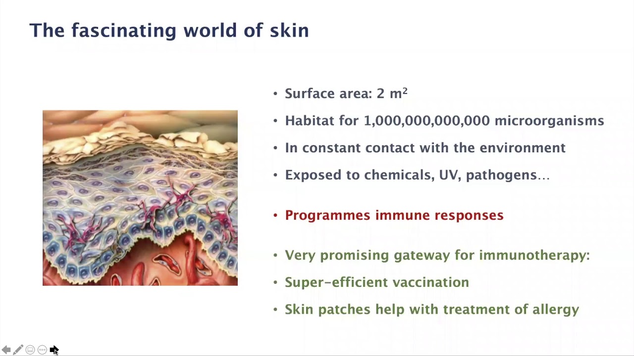 Keratinocytes