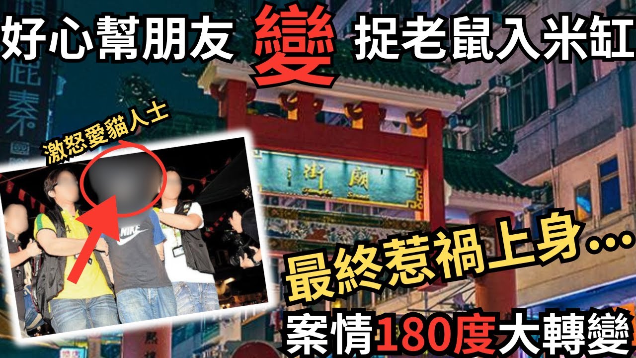 好心幫朋友變捉老鼠入米缸，最終惹禍上身，多隻貓下場悲慘… Z檔案／奇案調查@Zfivesir
