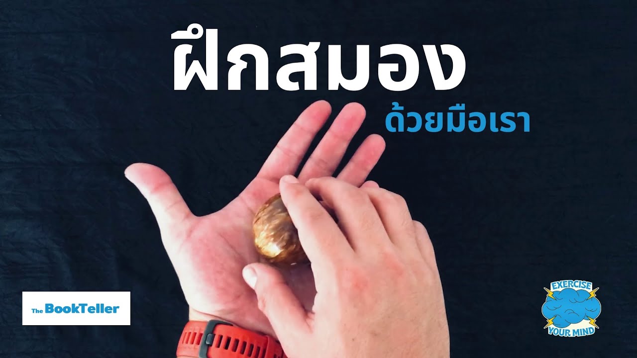 ฝึกสมองด้วยมือเรา | รวม 10 ท่ามือฝึกสมองให้ฟิต | Brain Exercise