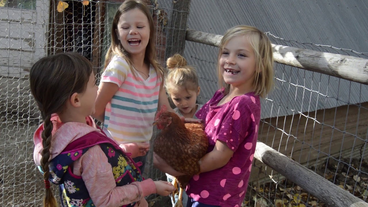 Laughing Buck Farm