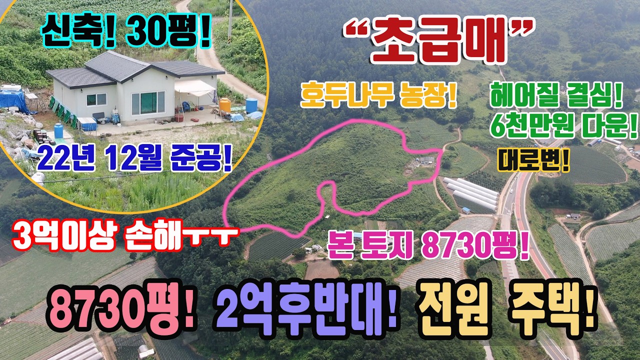 초급매 3억손해 보고팔아요 28859㎡ 8730평 22년 신축 주택 건평 30평 호두나무 농장 2억후반대 헤어질결심 광역상수도 충북 단양군 어상천면 연곡리 전원주택 매매 단양부동산