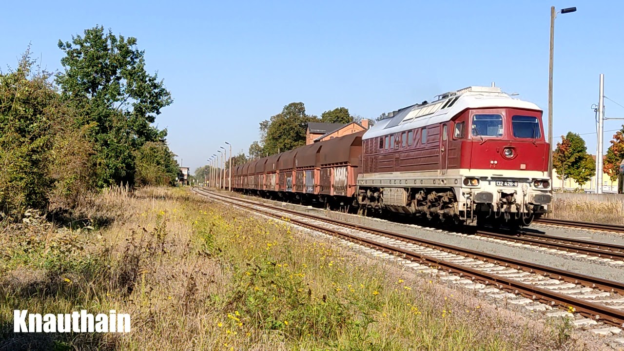 Eisenbahn Diesel an Elster und Pleiße Ludmilla DB LEG BR 232 NRE 132 EBS 118 DR
