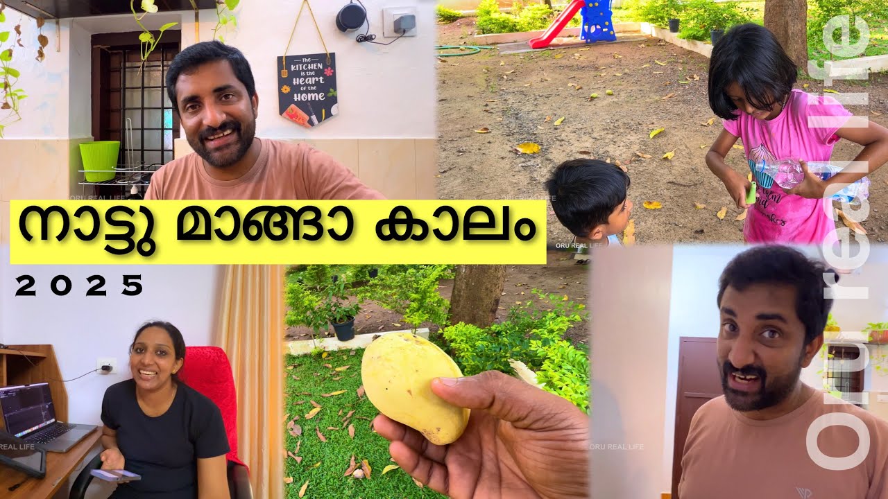 നാട്ടു മാങ്ങ ചപ്പികുടിക്കാൻ ആണ് രസം | Oru real life | family vlog