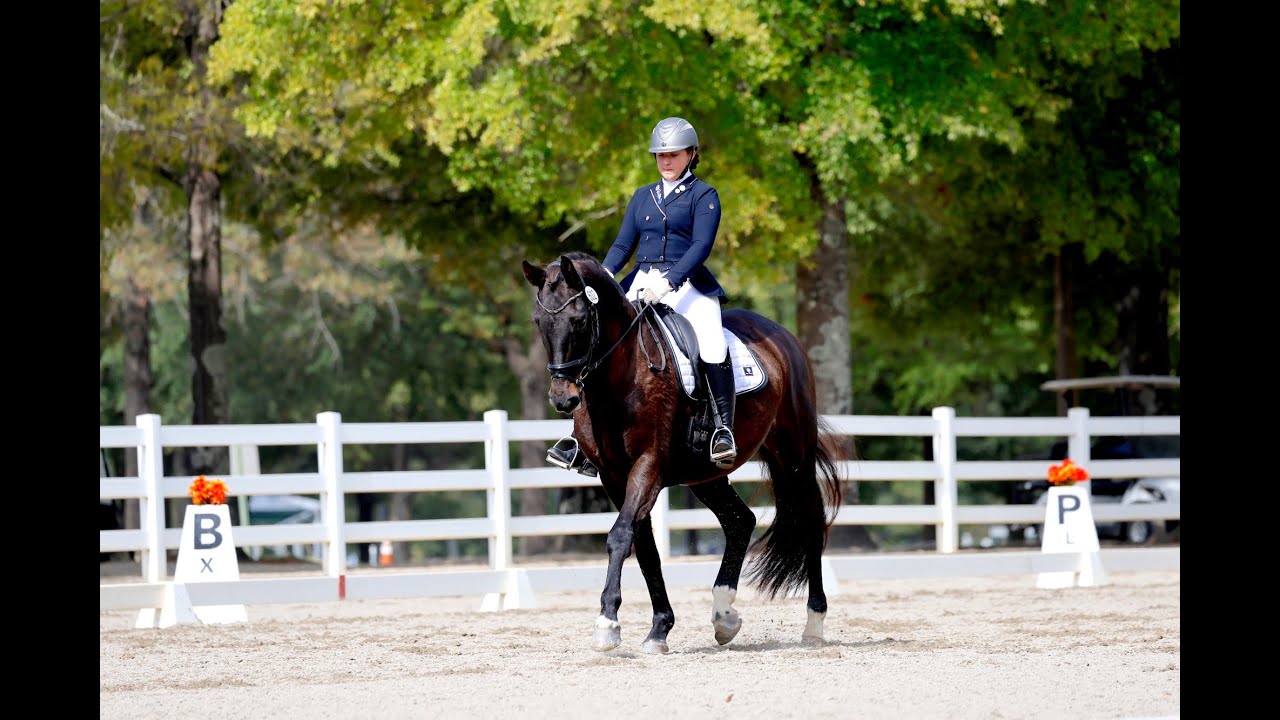 McKenna Sykora on Westbrook 08.31.25 Third Level, Test 3 at Regionals 66.125% - First Place