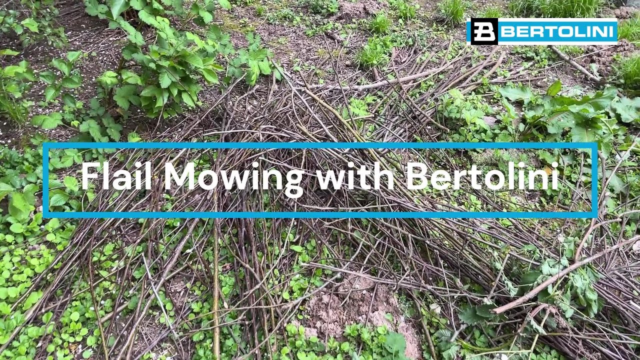 Clearing Ivy, Blackberries & Brush with a Two-Wheel Tractor | Bertolini 413S with Flail Mower