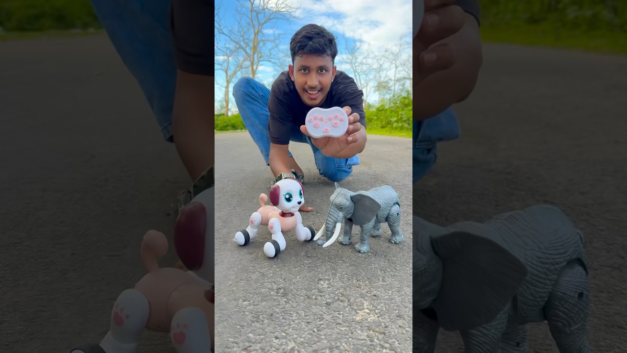 4 wheeler Remote Control Dog robot🐕