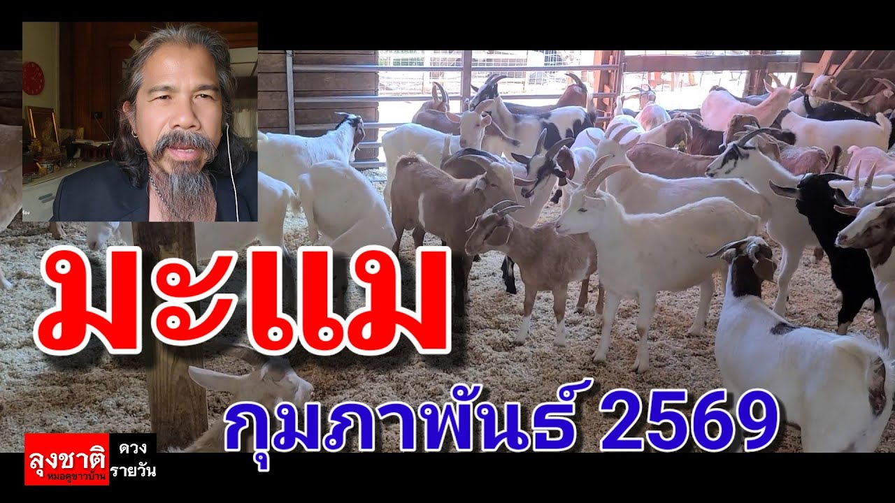 ดวงชะตาคนเกิดปีมะแม. # เดือนกุมภาพันธ์ 2569#ดูดวง @Longchat 
