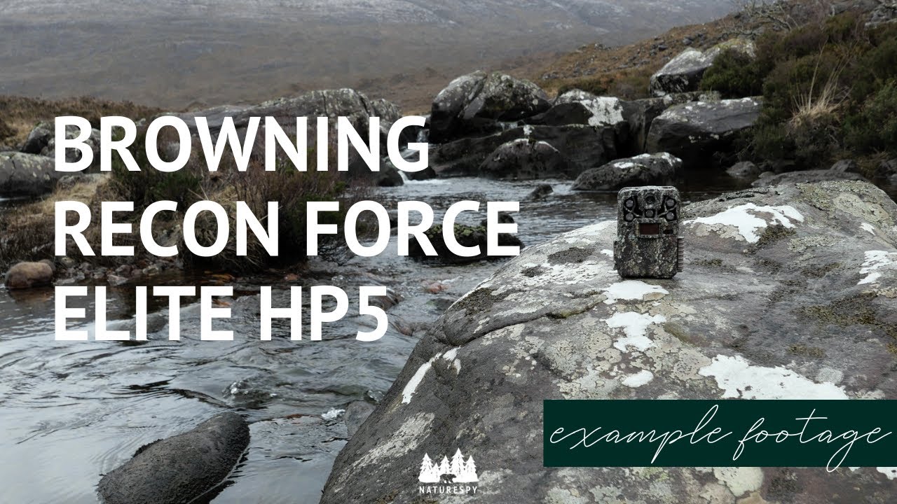 Example Footage | Browning Recon Force Elite HP5 Trail Camera