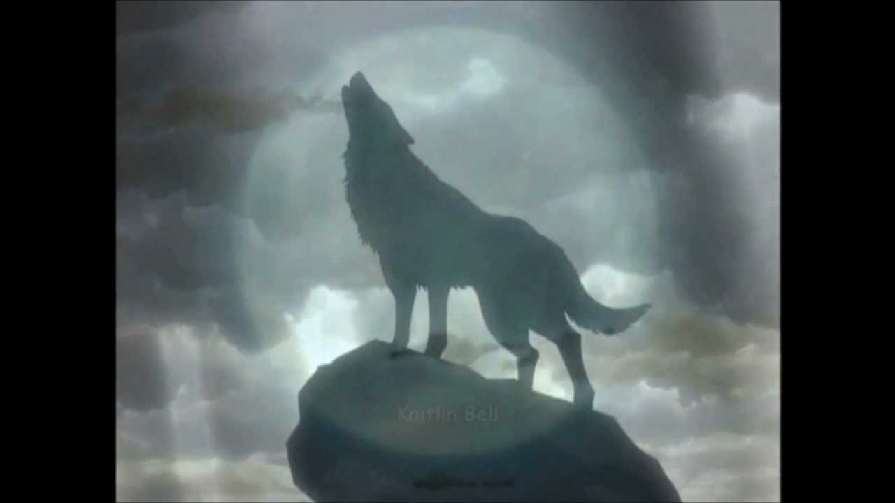 He Lives In You - Wolf's Rain