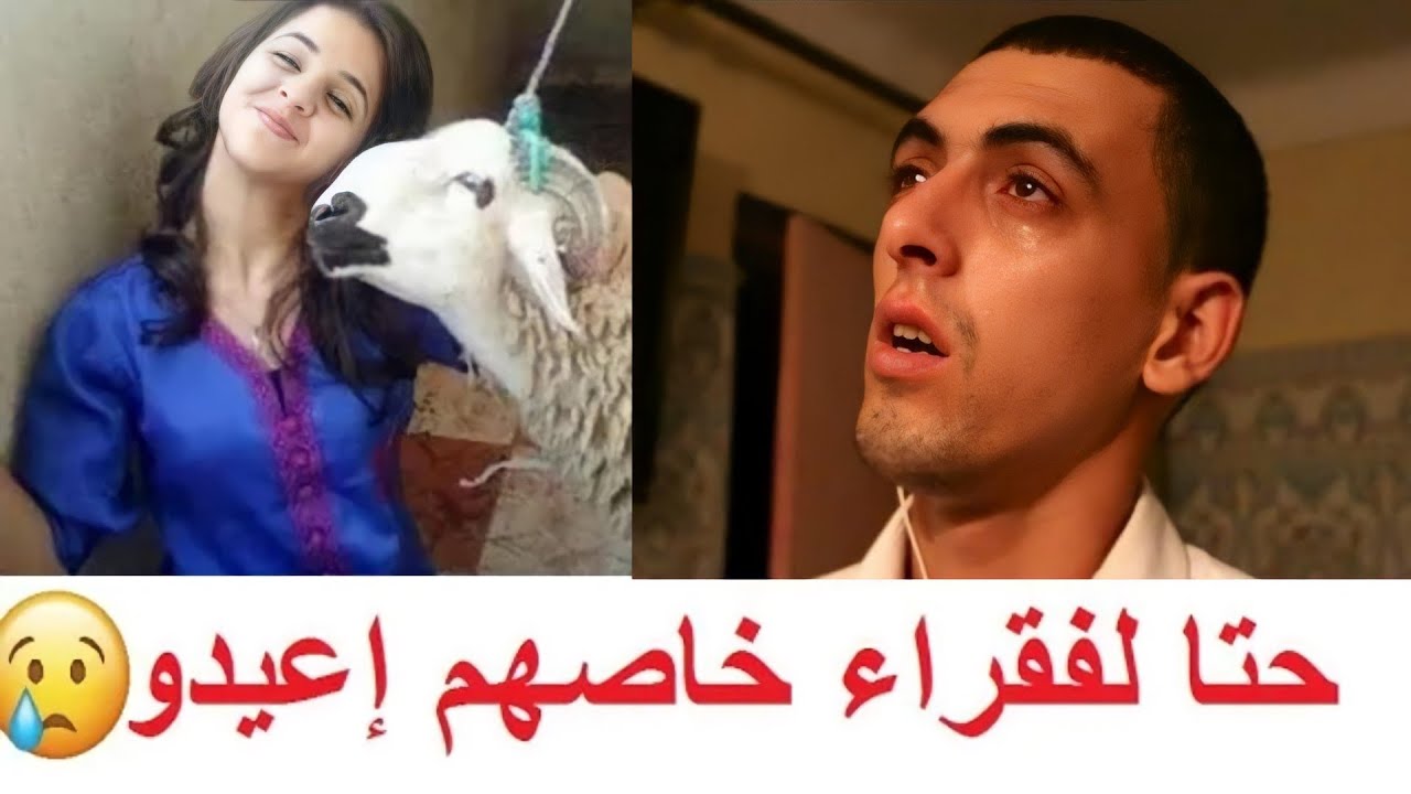 عندما يئست في شراء أضحية العيد.....حدث لي شيء لم أصدقه (قصة واقعية)