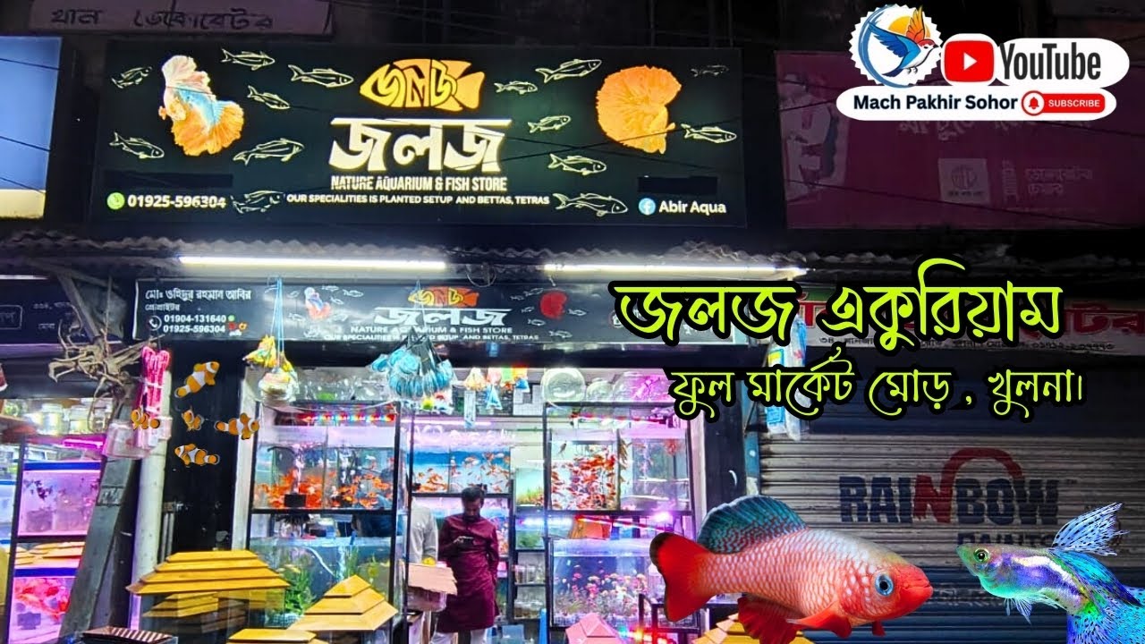 Aquarium fish shop in khulna।।রঙিন মাছের দোকান।। কাস্টমাইজ একুরিয়াম তৈরি করা হয় #aquariumfish #fish