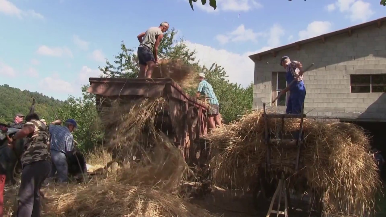 Reportage : 