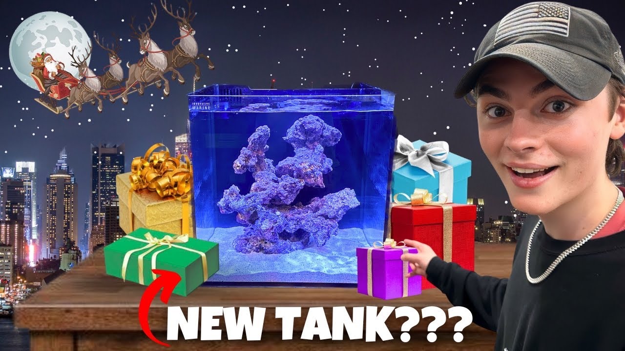 I GOT A NEW AQUARIUM FROM SANTA??? 🎄🐠