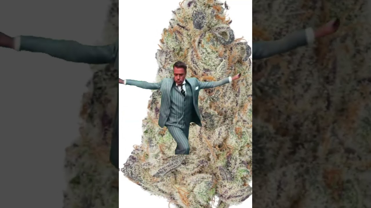 I Tried Potent Hemp Buds